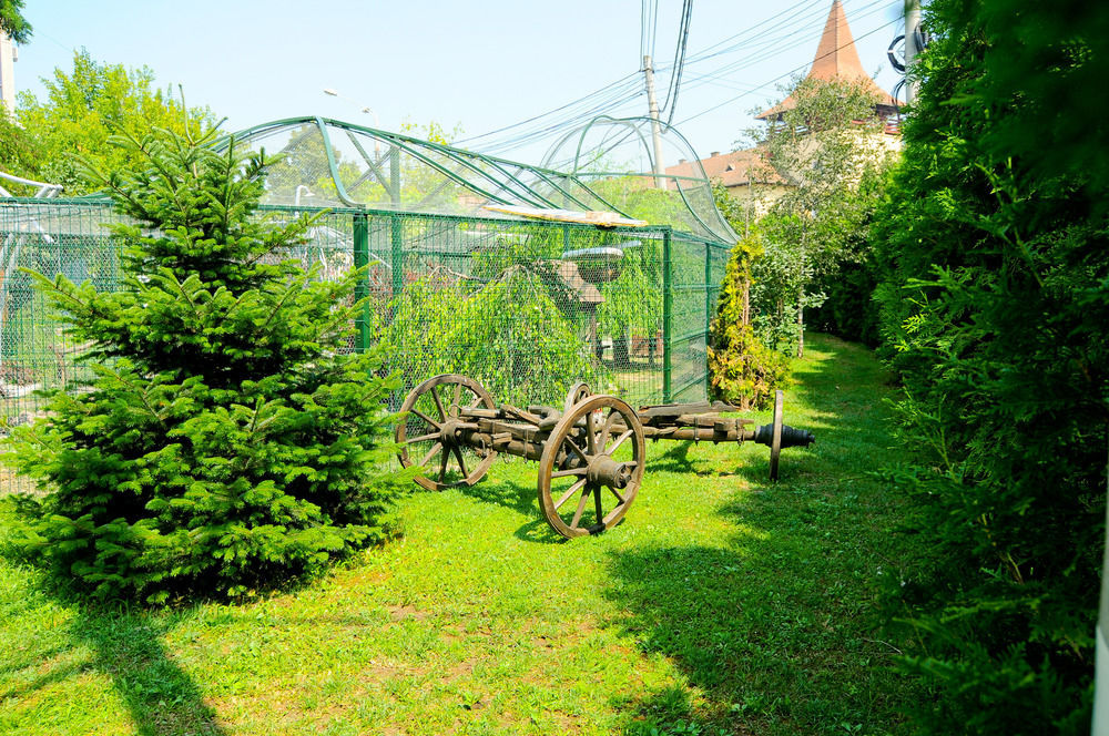 Pension La Cupola Târgu-Mureş Esterno foto