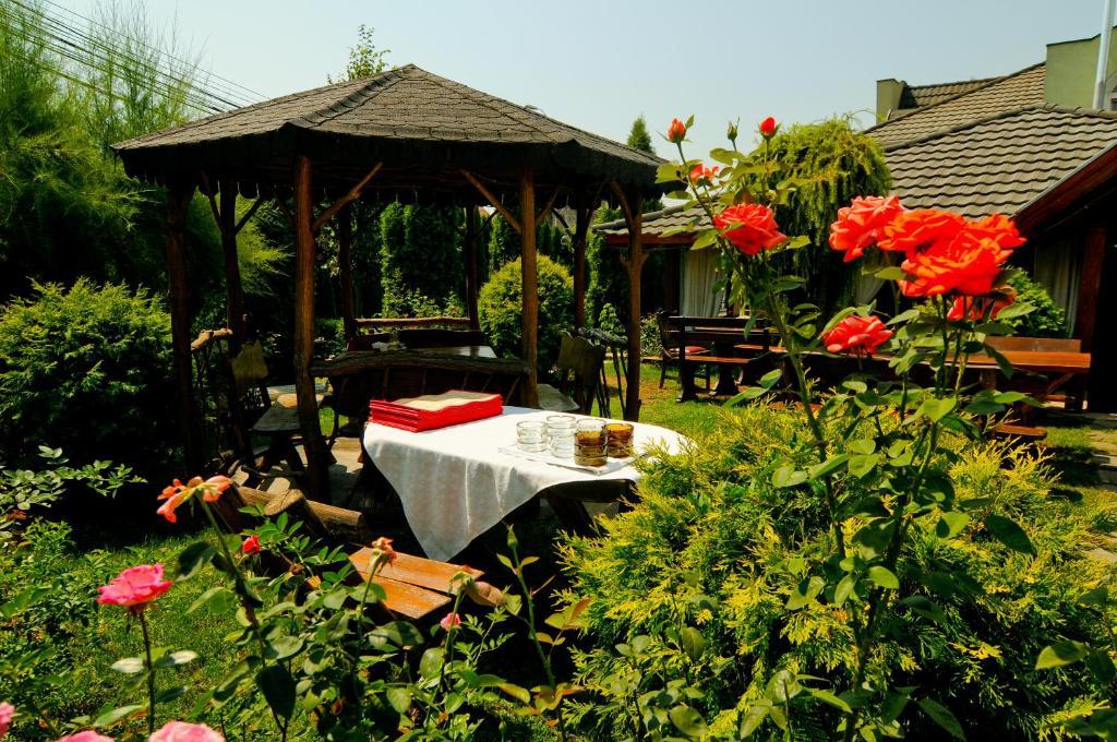 Pension La Cupola Târgu-Mureş Esterno foto